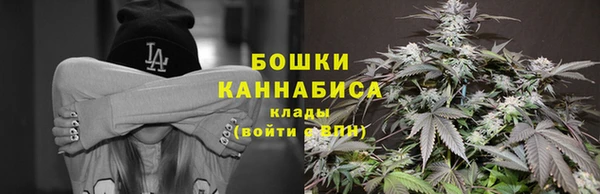 стаф Волосово