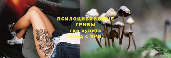 стаф Волосово