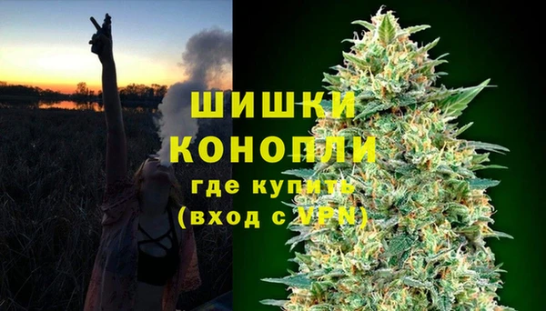 стаф Волосово