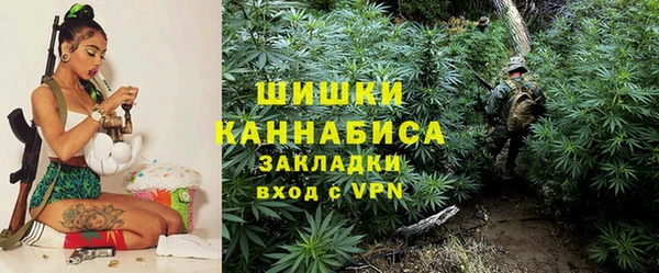 стаф Волосово