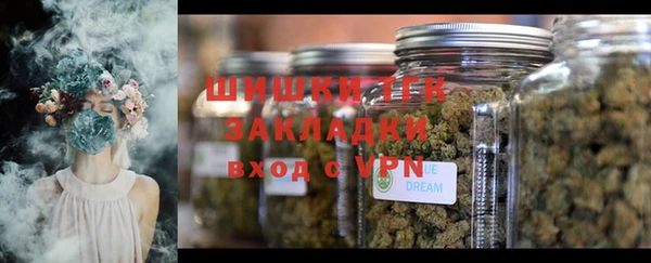 стаф Волосово
